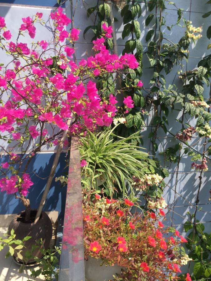 Cherry Garden Homestay Hoi An Exterior foto
