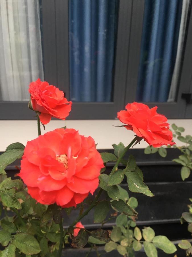 Cherry Garden Homestay Hoi An Exterior foto